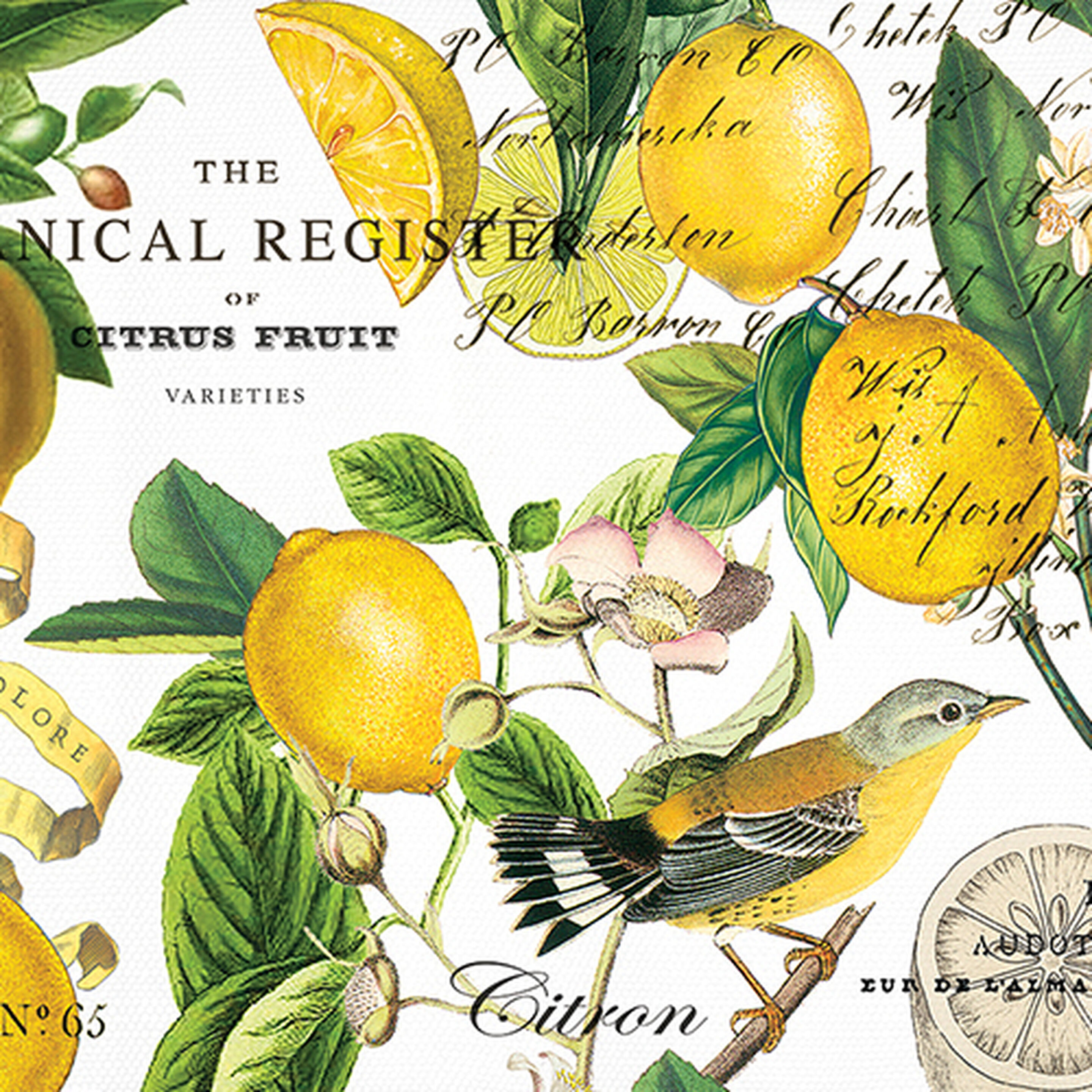 MDW - Lemon Basil Collection